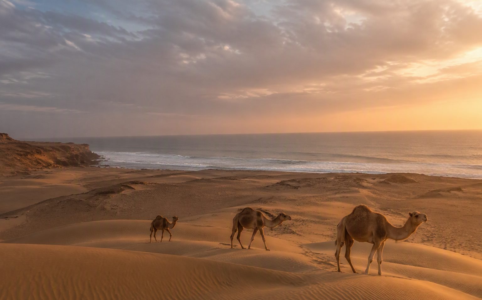 Desert Near Agadir: What's Actually Close (and What Isn't)